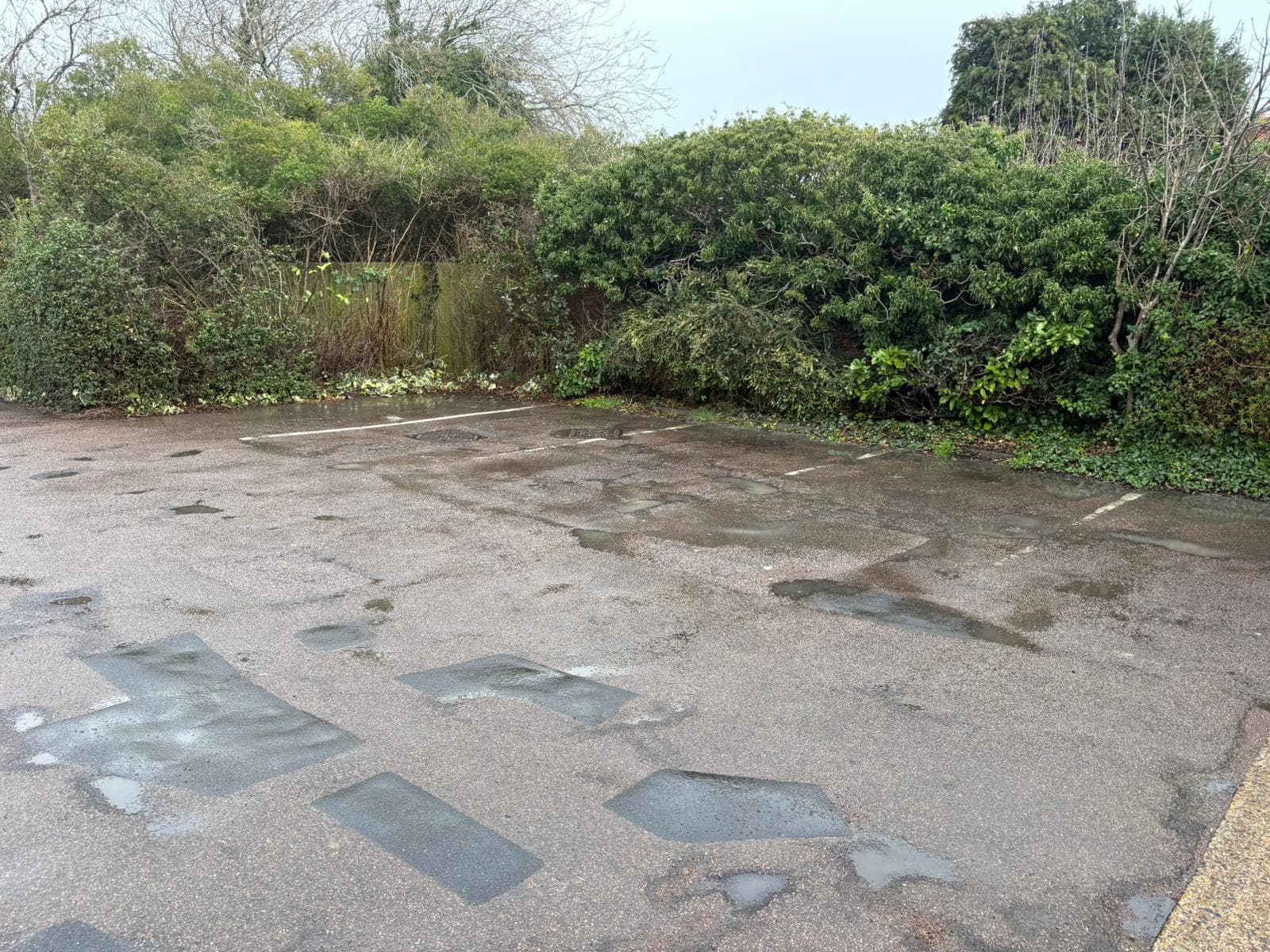 Drain Unblocking